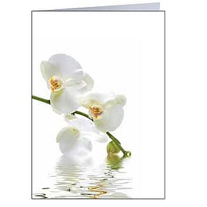 Trauer Klappkarte Orchidee
