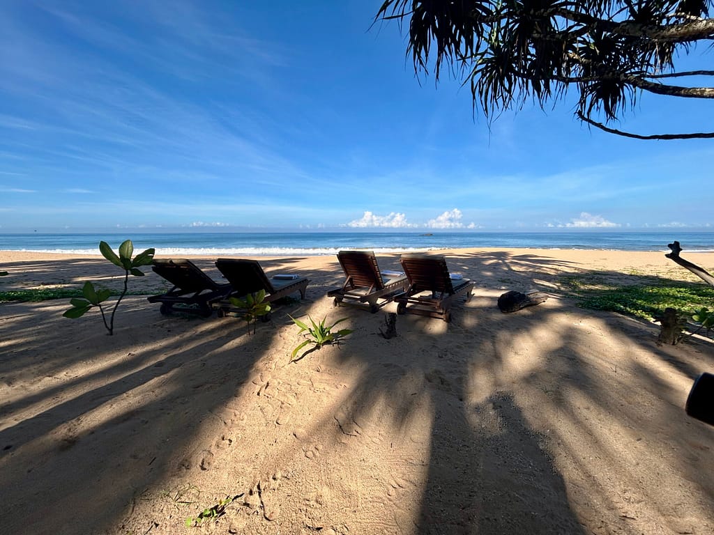 Beach and Garden - Bombay Bicycle Club Beach and Garden
