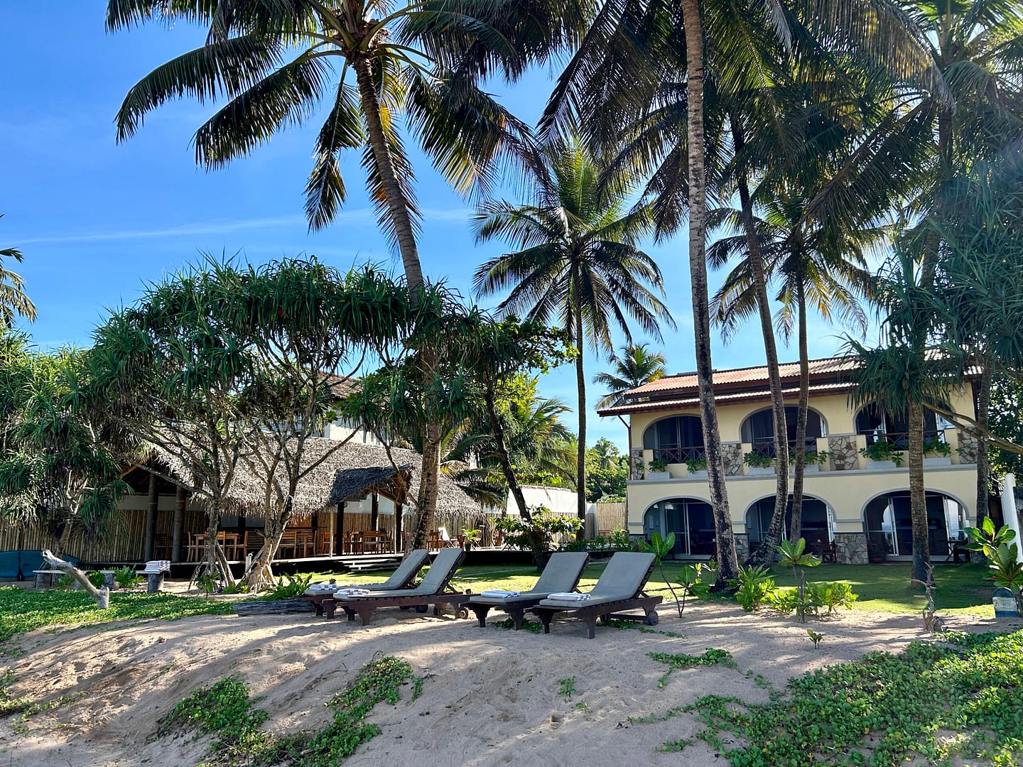 Beach and Garden